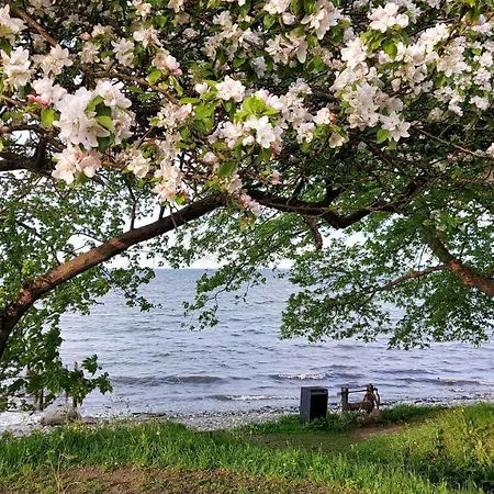 Garnhuset - The Perfect Getaway Right On The Beach And Surrounded By Forest